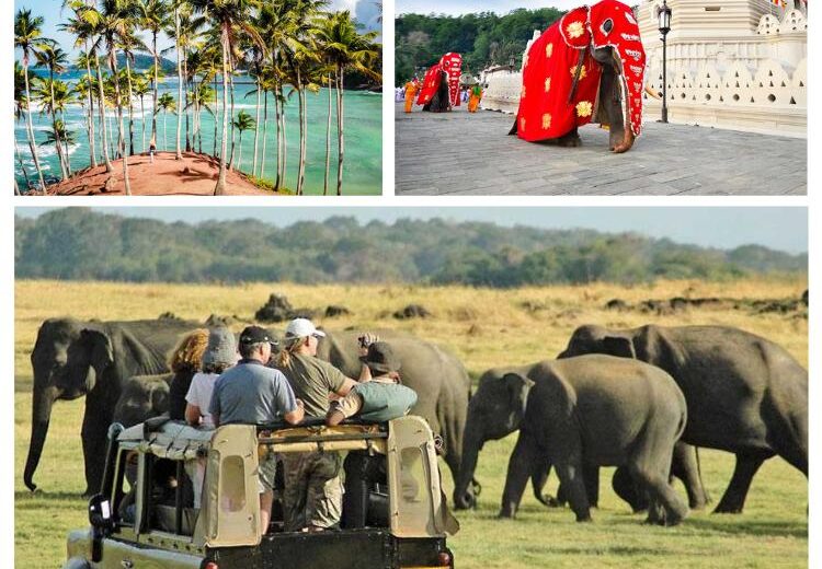 Sri Lanka Heritage and Nature Expedition: A 10-Day Adventure