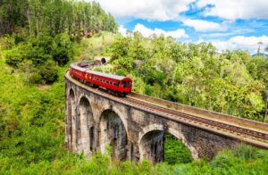 Ella-Train-Ride